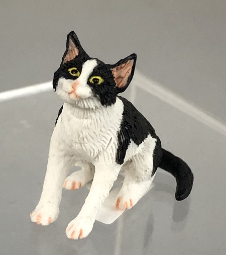 (image for) Black and White Cat Looking Upward - Click Image to Close